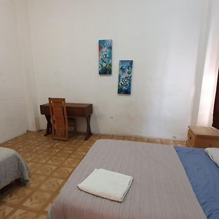 Taiyari Hostal Monterrey Bagian luar foto