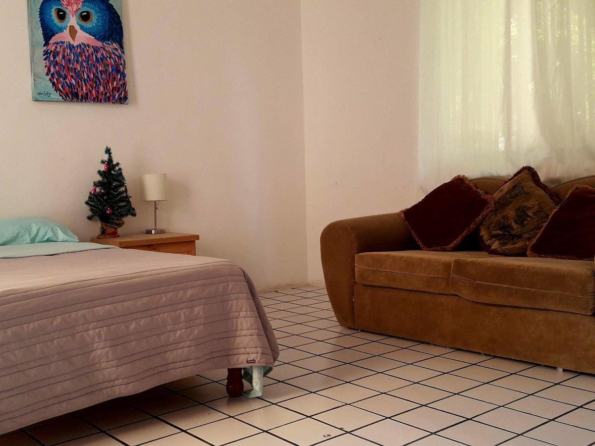 Taiyari Hostal Monterrey Bagian luar foto