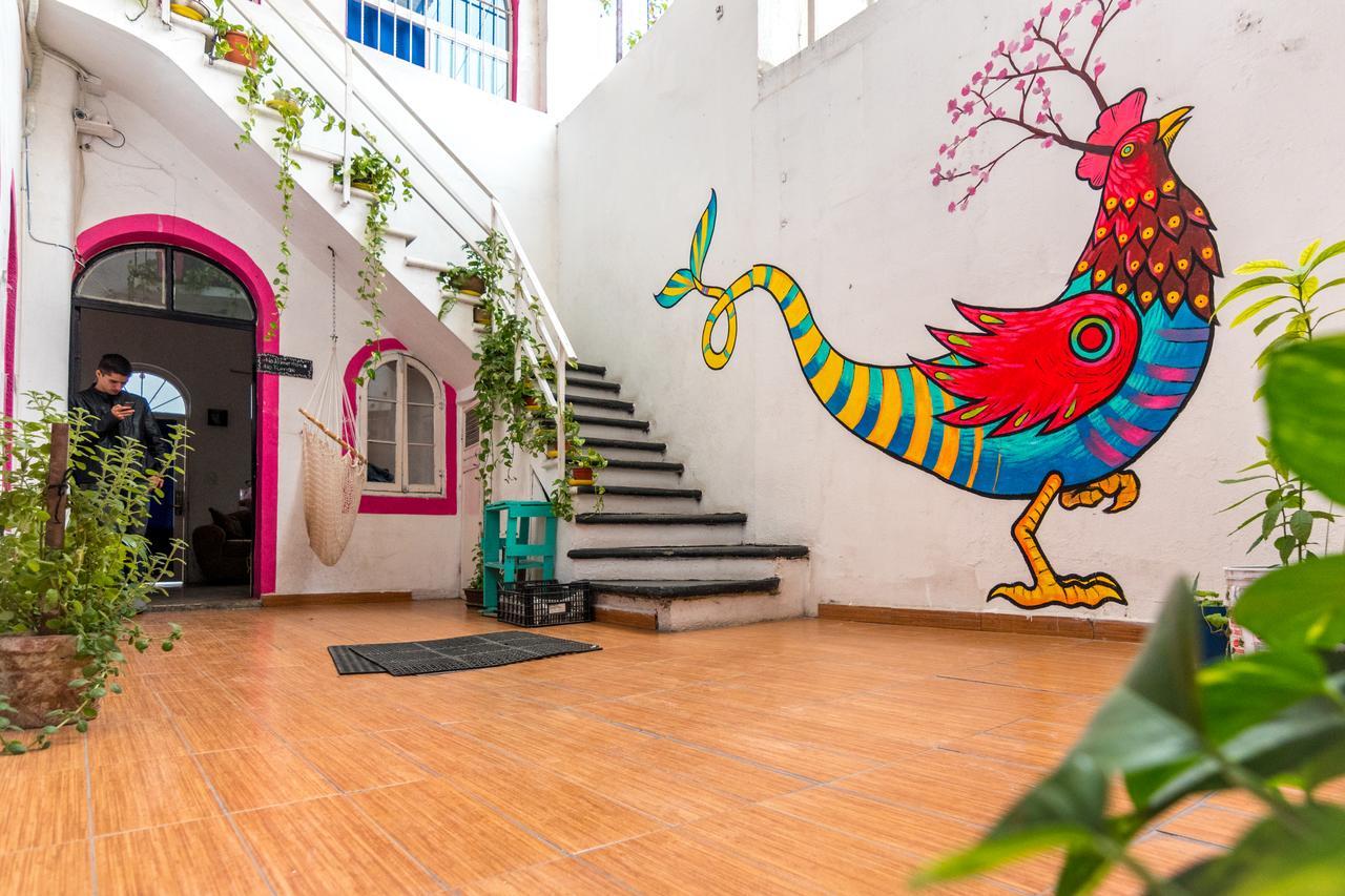 Taiyari Hostal Monterrey Bagian luar foto