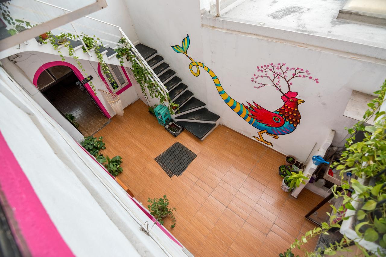 Taiyari Hostal Monterrey Bagian luar foto