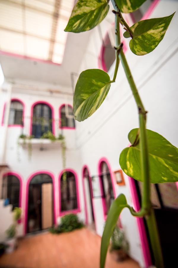 Taiyari Hostal Monterrey Bagian luar foto