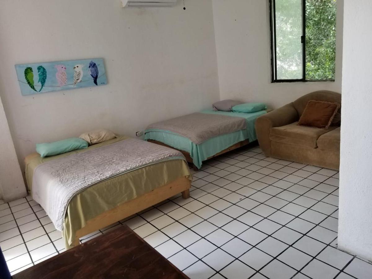 Taiyari Hostal Monterrey Bagian luar foto